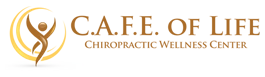 Chiropractic Allentown PA C.A.F.E. of Life Chiropractic Wellness Center